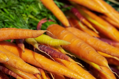 Vom Blatt bis zur Wurzel kochen: Tipp zur Vermeidung von Lebensmittelverschwendung Vom Blatt bis zur Wurzel kochen: Tipp zur Vermeidung von Lebensmittelverschwendung