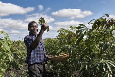 Gärten in Afrika Gärten in Afrika